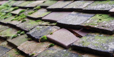 Tean roof repair costs